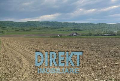 Teren de 7600 mp, în Șieu - 3