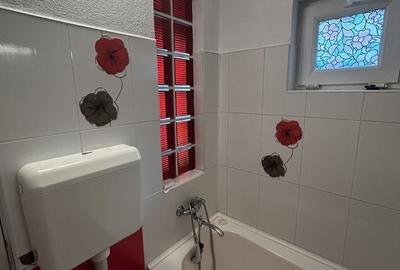 Casa 2 Camere Boul Rosu De Inchiriat - 5