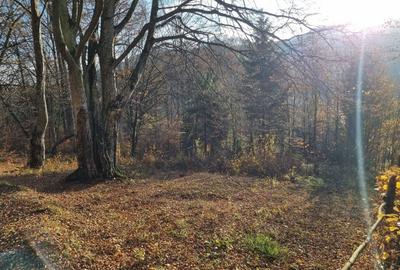 Spațiu comercial, în Catalina - 3