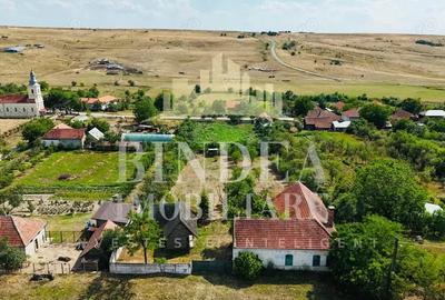 Casa caramida+ teren 3160+ cabana lemn Bencecu de Jos - 6