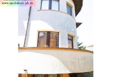 Vila interbelică D+P+E+M, 430 mp(9 camere, 6 bai,3 bucatarii) central - 5