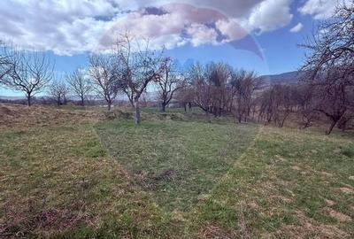 Teren Construcții de 6377 mp, în Hărnicești - 3