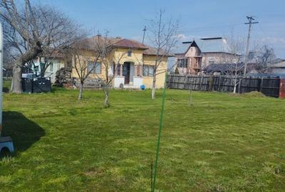 Casă cu 3 camere în Central - 1
