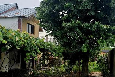 Vand Casa (P+E) ?i Teren sat Nisipoasa, com Plopu, jud. Prahova - DIRECT PROPRIETAR - 9