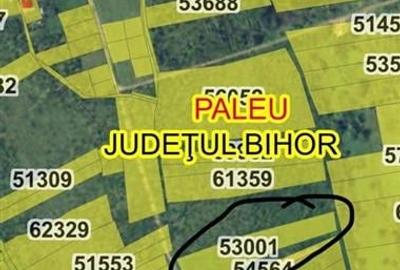 RECO Teren intravilan in  Paleu 6178mp - 4