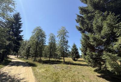 SUPER OCAZIE - Teren intravilan, COMANDAU SUPER OCAZIE - Teren intravilan, COMANDAU - 9