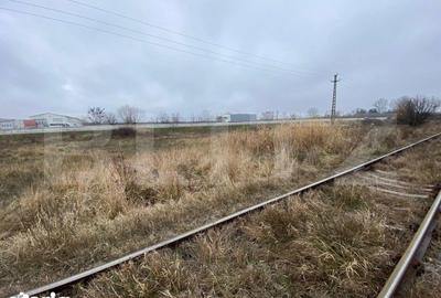 Teren de 41000 mp, în Ișalnița - 4