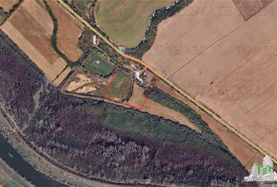 Teren Construcții intravilan de 80000 mp, în Sud-Est - 3