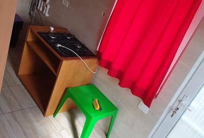 Ovidiu - vilă mobilată , utilată - 11