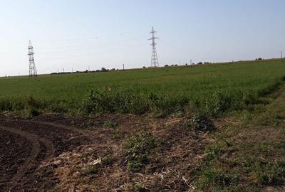 Teren de 15000 mp, în Agigea