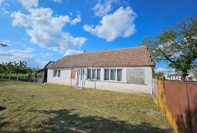 Casă cu Teren 1405 Mp în Sâmbăteni - 6