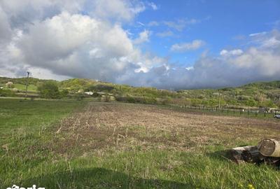 Teren de 15000 mp, în Măldărești - 2