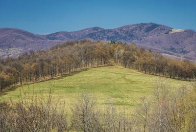 Teren intravilan de 40000 mp, în Teișani - 2