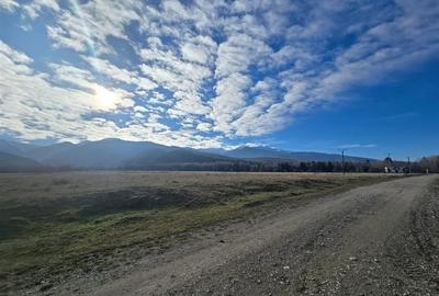Teren de vanzare in satul de vacanta Dejani - 4