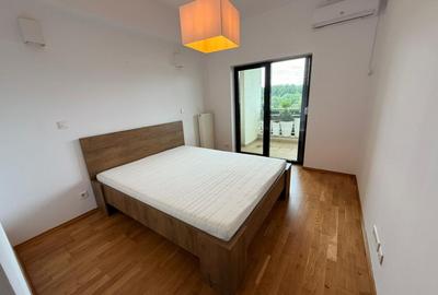 Apartament cu 3 camere, mobilat în Iancu Nicolae - 9