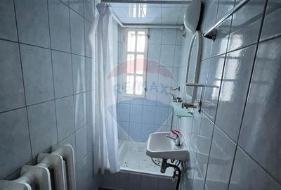 Casa de vancata Bucsoaia - 20