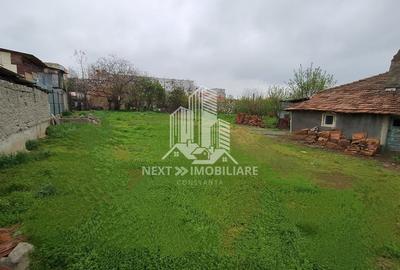 Teren Murfatlar, 895mp, constructii+ livada pomi - 2