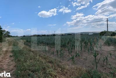 Teren de 3900 mp, în Central