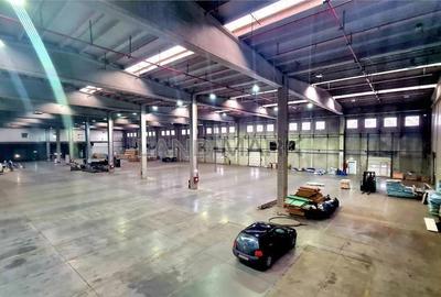 Hala industriala de vanzare Timisoara, trafo propriu 1000 kva - 4