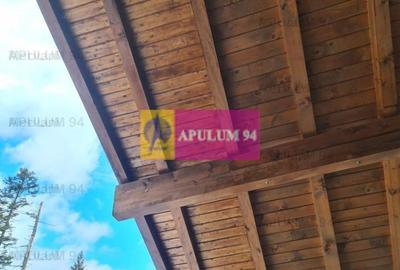 Vilă de vânzare in Sinaia - Zona Cumpătu - 32