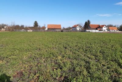 Teren intravilan construibil de vanzare in Lunca Calnicului 2325mp - 2