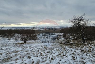 Teren 10,000mp Rada?eni / ?oseaua DN2-E85, jude?ul S... - 6