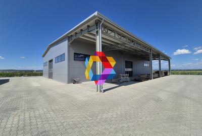 Hala - 1400 mp  # plus-imo.ro - 15