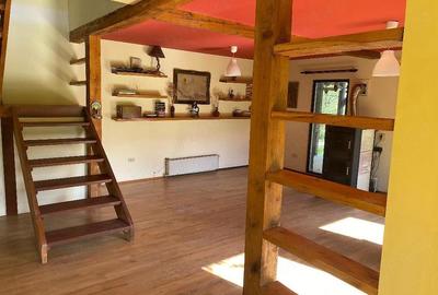 Casă cu 3 camere cu Teren 2125 Mp în Vechea - 1
