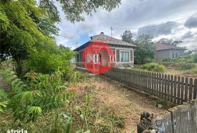 Casă cu 4 camere cu Teren 1309 Mp în Murighiol - 1
