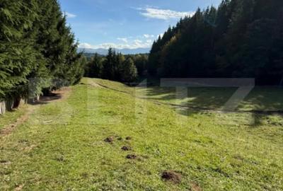 Teren de 2792 mp, în Colibița - 5