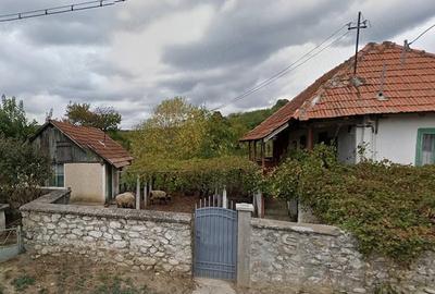 Teren de 3900 mp, în Sâmbotin - 1