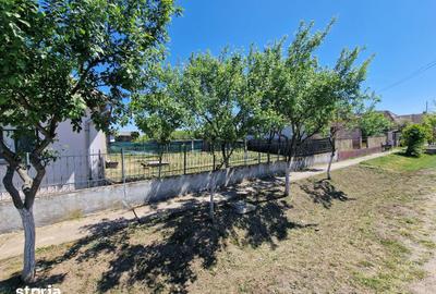 Casă cu 6 camere cu Teren 4728 Mp în Mădăras - 16
