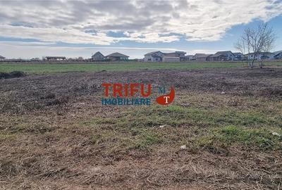 Teren Intravilan de Vanzare in Alba Micesti  Oportunitate Unica! - 3