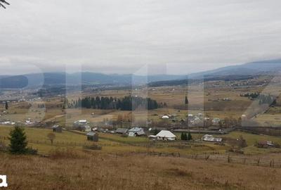 Teren de 50000 mp, în Șaru Dornei - 3