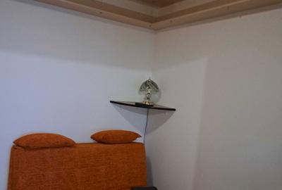 Apartament cu 2 camere nedecomandat în Ultracentral - 7