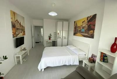 Garsonieră decomandată, mobilată în Theodor Pallady - 1