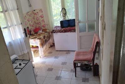 Casă cu 2 camere cu Teren 7500 Mp în Valea Roșie - 1