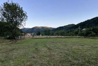 Teren de 3400 mp, în Costești - 3