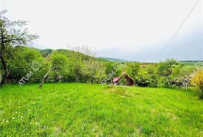 Cabana individuala cu 1226 mp teren zona Fantanele langa Sibiu - 21