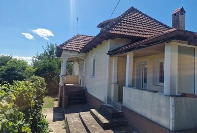 Casa in mediu rural cu teren - 12