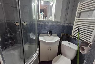 Apartament 2 camere la mansarda zona Balanta Apartament 2 camere la mansarda zona Balanta - 4