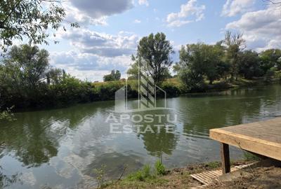 Casă individuală cu 8 camere cu Canalizare în Șag - 2