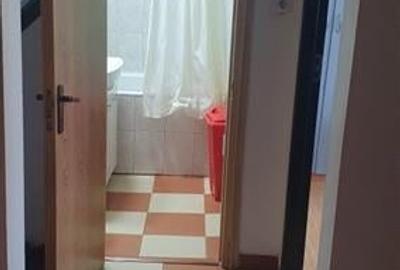 Vanzare apartament 2 camere Delfinului - 6