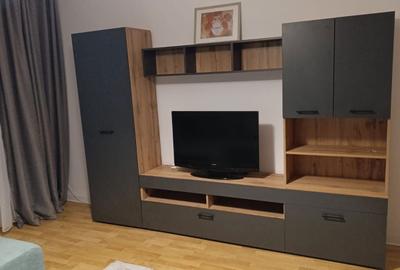 Apartament cu 2 camere decomandat în Arcu - 6