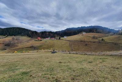 Teren de 9515 mp, în Central