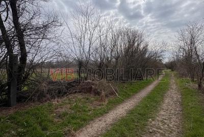 Teren intravilan de 423 mp, în Jilava - 6