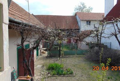 Casă cu 4 camere în Vad - 3