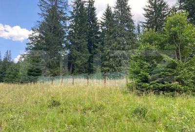 Teren de 9975 mp, în Predeal - 1