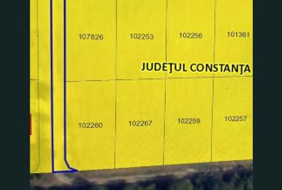 Teren Construcții intravilan de 640 mp, în Central - 7