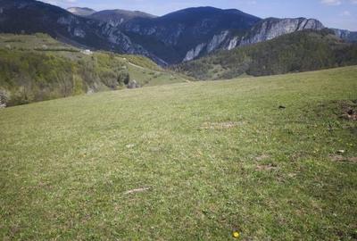 Teren de 9800 mp, în Poșaga